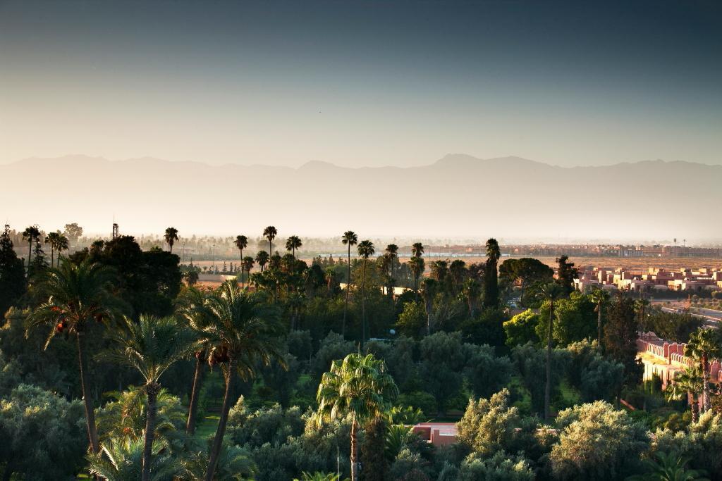 Divine 13 La Mamounia, Marrakech